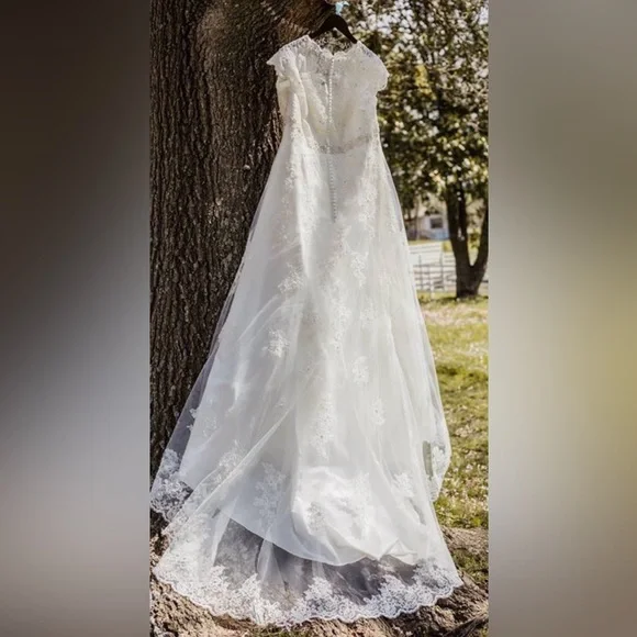 David's Bridal Elegant Lace Wedding Dress in White